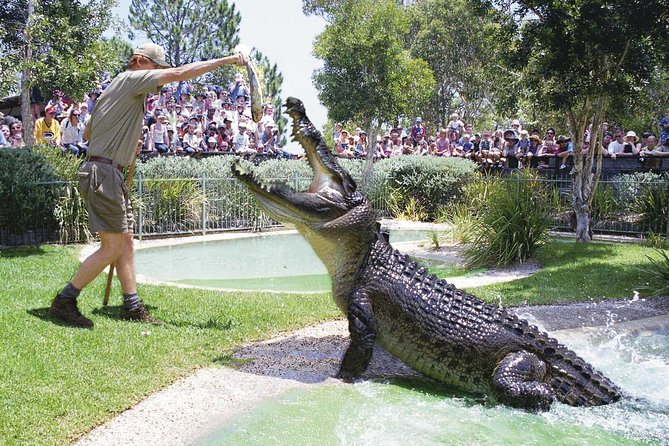 Australian Reptile Park中央海岸爬虫公园