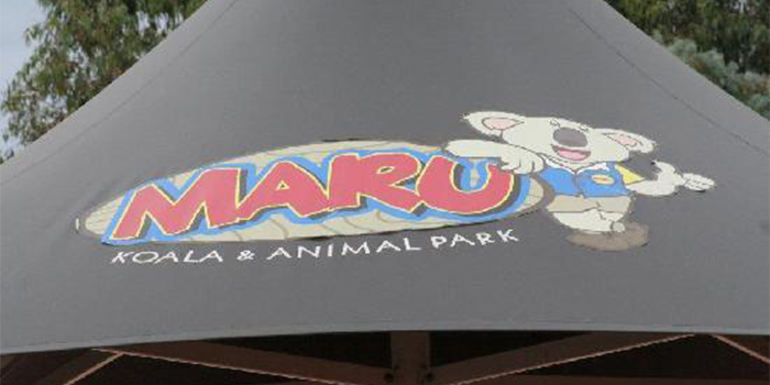 墨尔本Maru考拉动物园Maru Koala and Animal Park